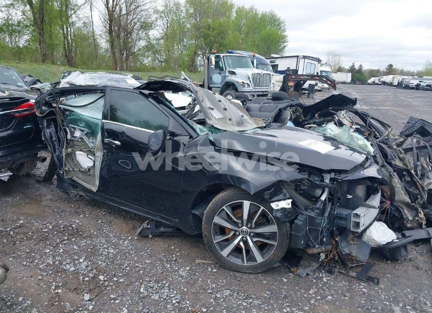 2019 Nissan Maxima 3.5 SL (VIN 1N4AA6AV0KC377059) main photo