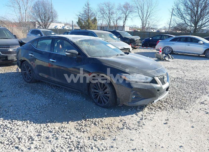 2019 Nissan Maxima 3.5 PLATINUM (VIN 1N4AA6AV1KC362280) main photo