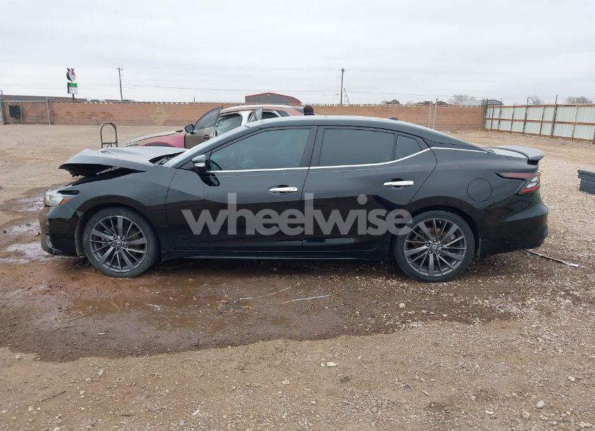 Photo 14 of 2019 Nissan Maxima 3.5 PLATINUM (VIN 1N4AA6AV3KC363415)