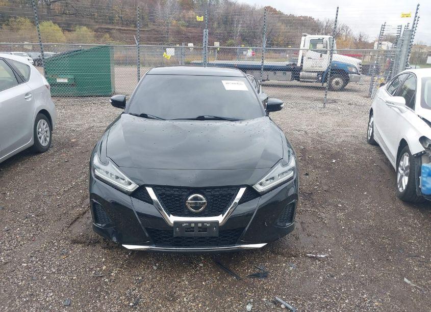 Photo 12 of 2019 Nissan Maxima 3.5 SV (VIN 1N4AA6AV3KC383082)
