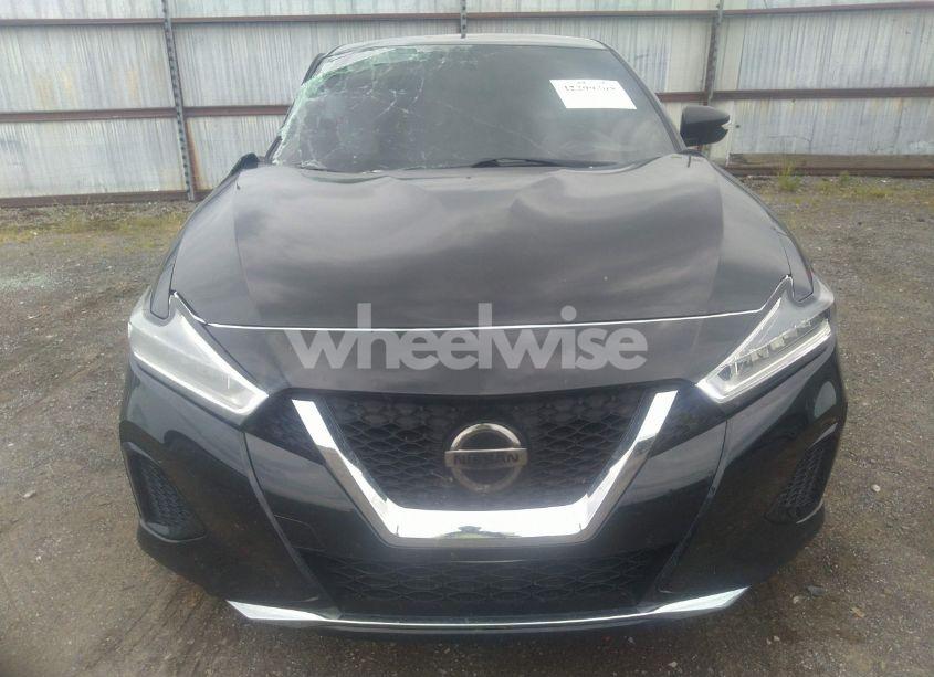 Photo 12 of 2019 Nissan Maxima 3.5 SV (VIN 1N4AA6AV4KC366176)