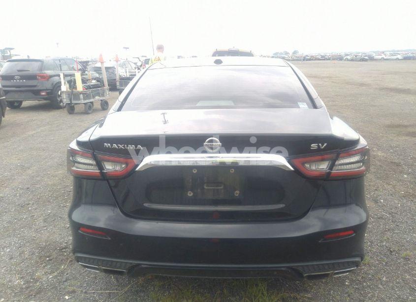 Photo 16 of 2019 Nissan Maxima 3.5 SV (VIN 1N4AA6AV4KC366176)