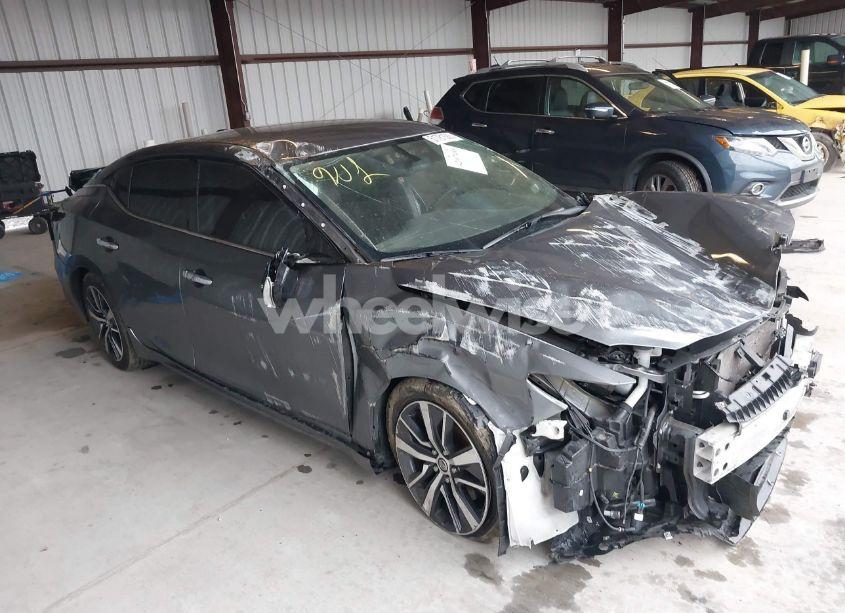 Photo 14 of 2019 Nissan Maxima 3.5 SV (VIN 1N4AA6AV5KC369975)