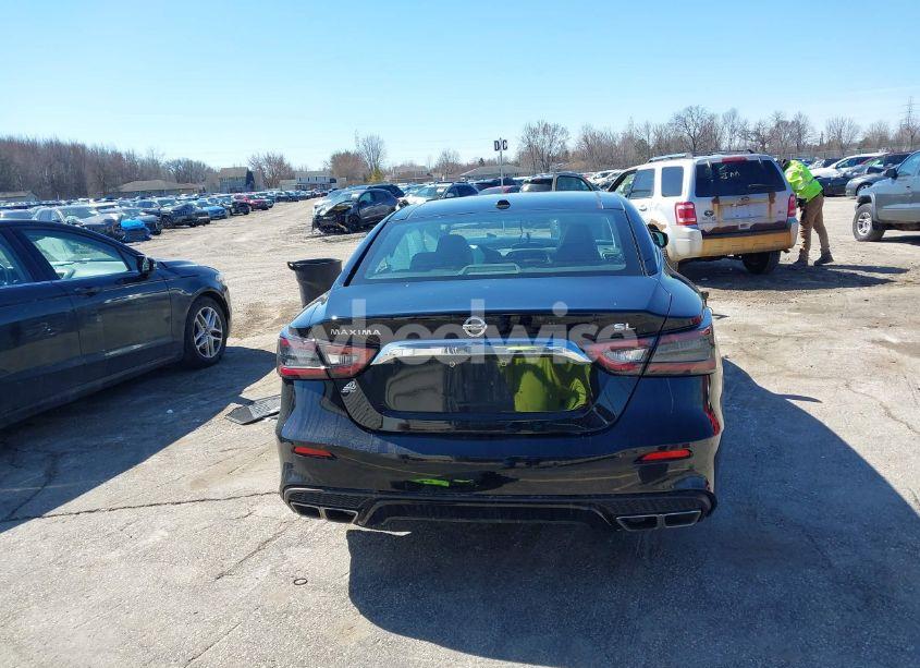 Photo 15 of 2019 Nissan Maxima 3.5 SL (VIN 1N4AA6AV5KC376053)