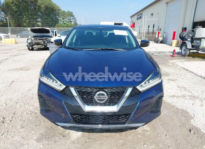 Photo 12 of 2019 Nissan Maxima 3.5 SV (VIN 1N4AA6AV6KC372089)