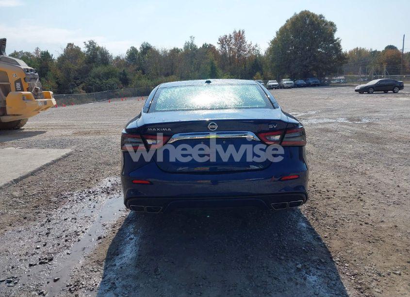 Photo 16 of 2019 Nissan Maxima 3.5 SV (VIN 1N4AA6AV6KC372089)