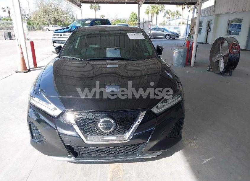 Photo 12 of 2019 Nissan Maxima 3.5 S (VIN 1N4AA6AV6KC380399)
