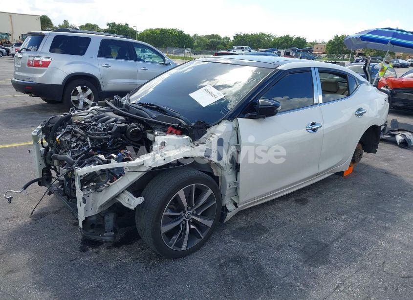 Photo 2 of 2019 Nissan Maxima 3.5 SL (VIN 1N4AA6AV7KC376006)