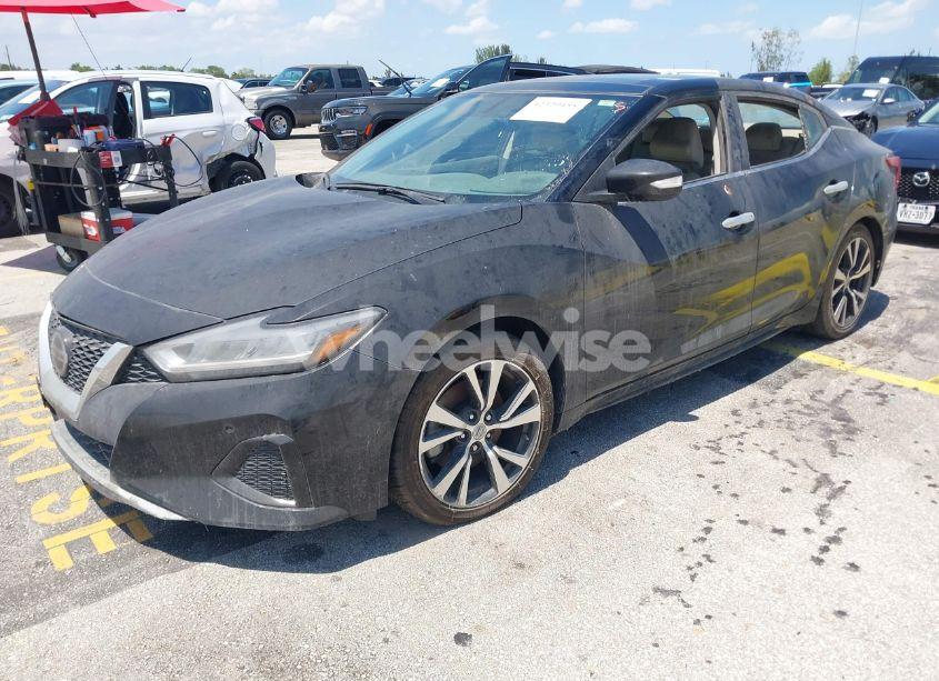 Photo 2 of 2019 Nissan Maxima 3.5 SL (VIN 1N4AA6AV8KC366407)