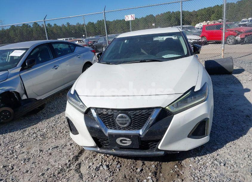 Photo 12 of 2019 Nissan Maxima 3.5 SV (VIN 1N4AA6AV8KC369548)