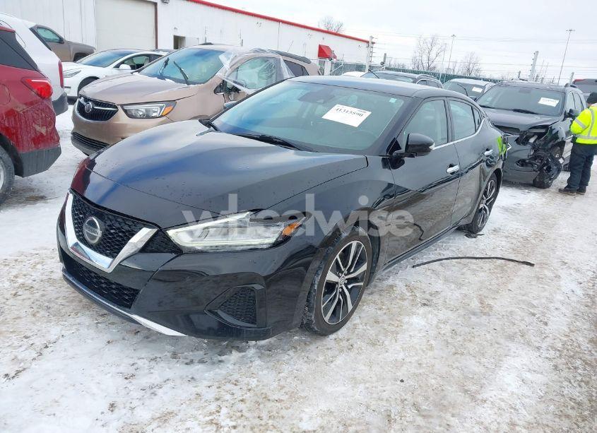 Photo 2 of 2021 Nissan Maxima SV XTRONIC CVT (VIN 1N4AA6CV0MC511150)
