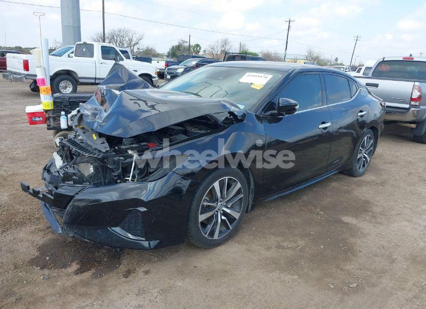 Photo 2 of 2021 Nissan Maxima SV XTRONIC CVT (VIN 1N4AA6CV0MC514758)