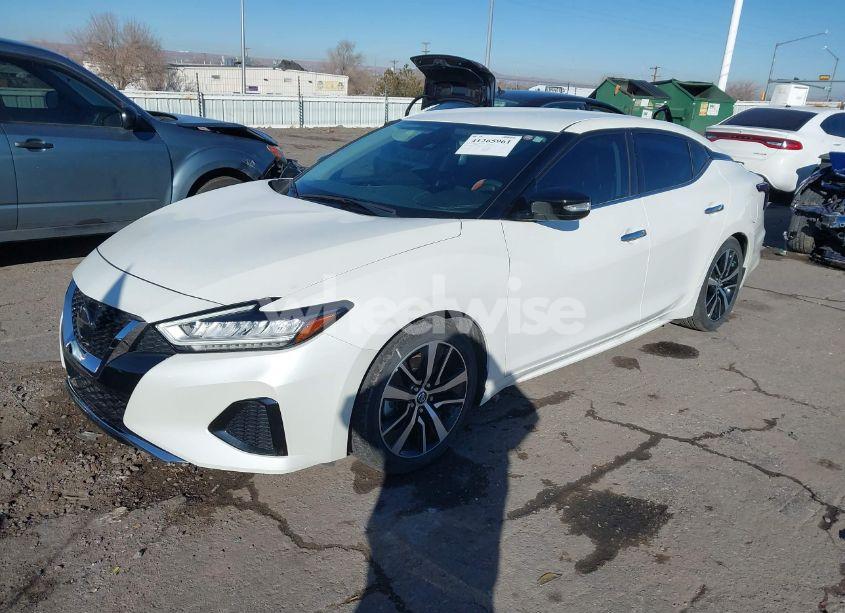 Photo 2 of 2021 Nissan Maxima SV XTRONIC CVT (VIN 1N4AA6CV0MC515568)