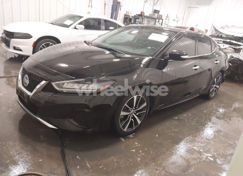 Photo 2 of 2022 Nissan Maxima SV XTRONIC CVT (VIN 1N4AA6CV1NC508503)