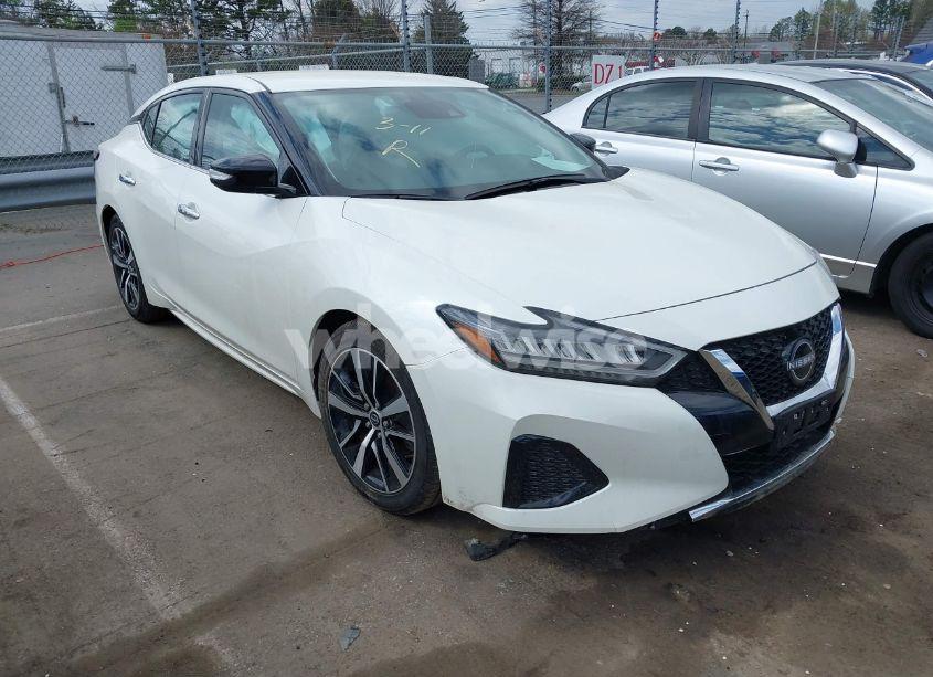 2023 Nissan Maxima SV XTRONIC CVT (VIN 1N4AA6CV1PC510531) main photo