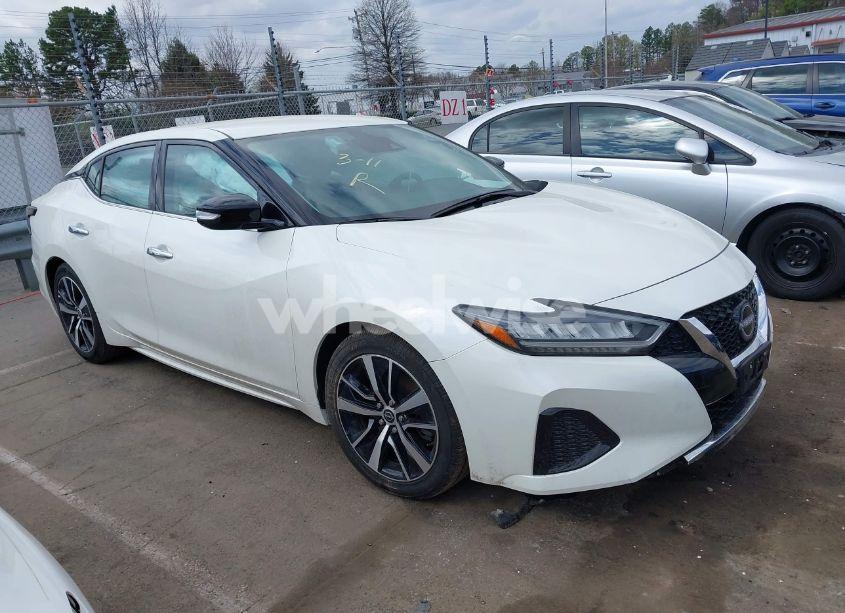 Photo 13 of 2023 Nissan Maxima SV XTRONIC CVT (VIN 1N4AA6CV1PC510531)