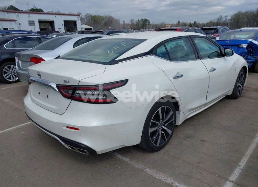 Photo 4 of 2023 Nissan Maxima SV XTRONIC CVT (VIN 1N4AA6CV1PC510531)