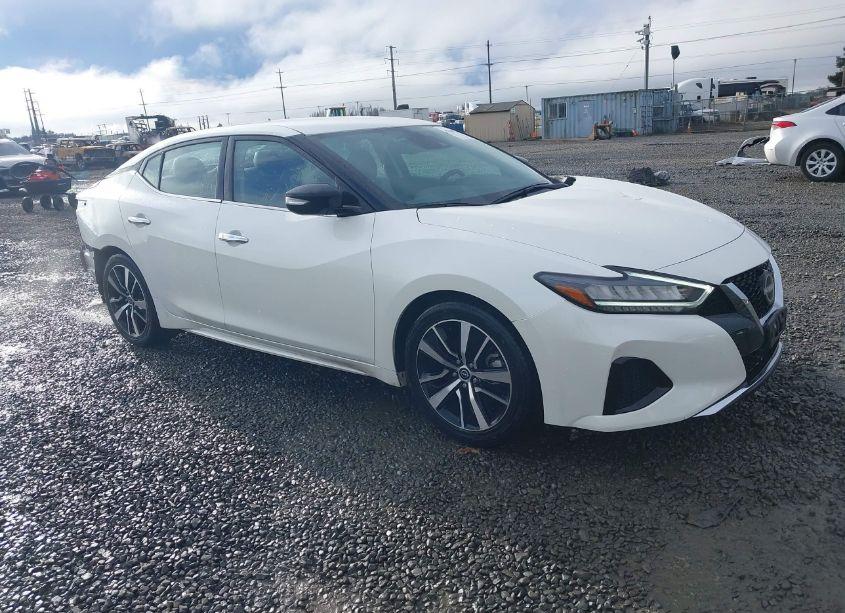 2023 Nissan Maxima SV (VIN 1N4AA6CV1PC511811) main photo