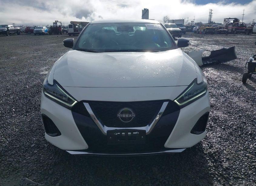 Photo 13 of 2023 Nissan Maxima SV (VIN 1N4AA6CV1PC511811)