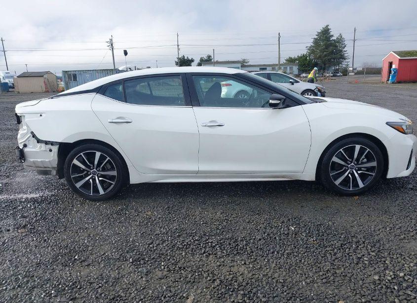 Photo 14 of 2023 Nissan Maxima SV (VIN 1N4AA6CV1PC511811)