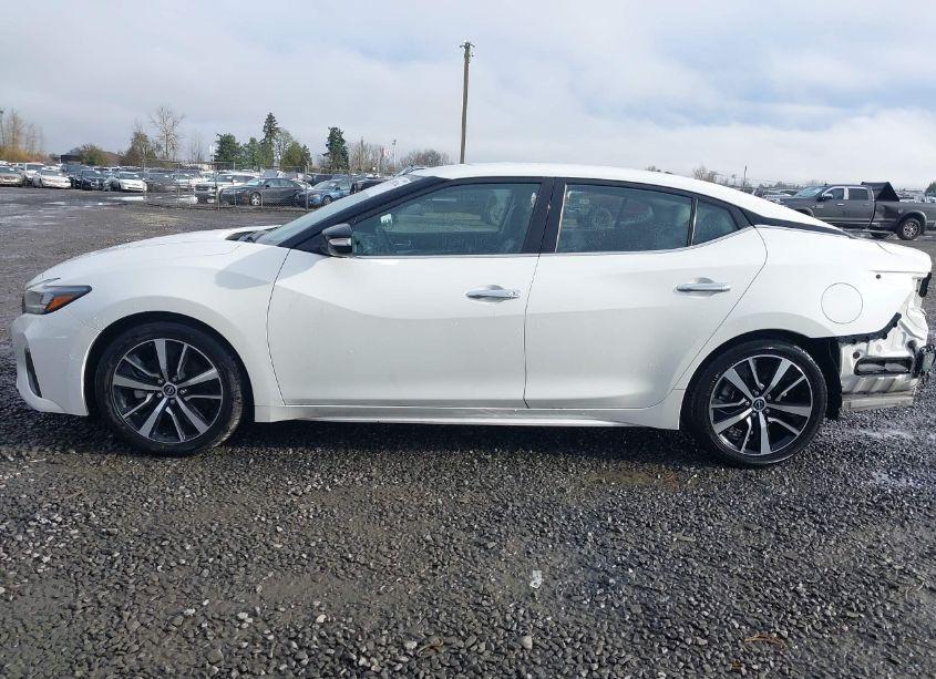 Photo 15 of 2023 Nissan Maxima SV (VIN 1N4AA6CV1PC511811)