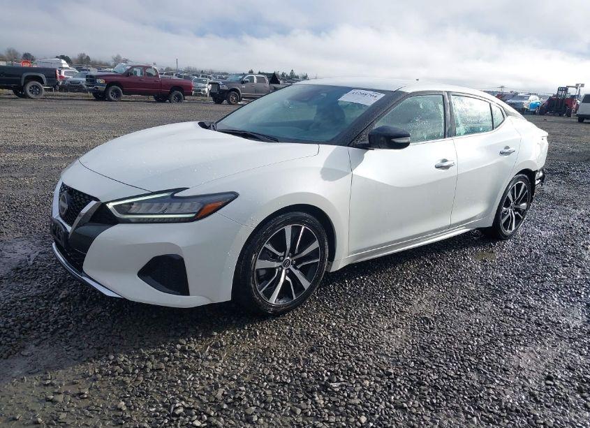 Photo 2 of 2023 Nissan Maxima SV (VIN 1N4AA6CV1PC511811)