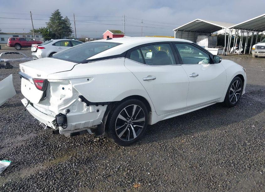 Photo 4 of 2023 Nissan Maxima SV (VIN 1N4AA6CV1PC511811)