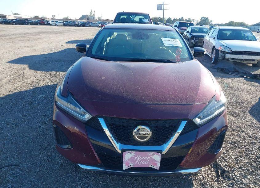 Photo 13 of 2021 Nissan Maxima SV XTRONIC CVT (VIN 1N4AA6CV2MC510811)