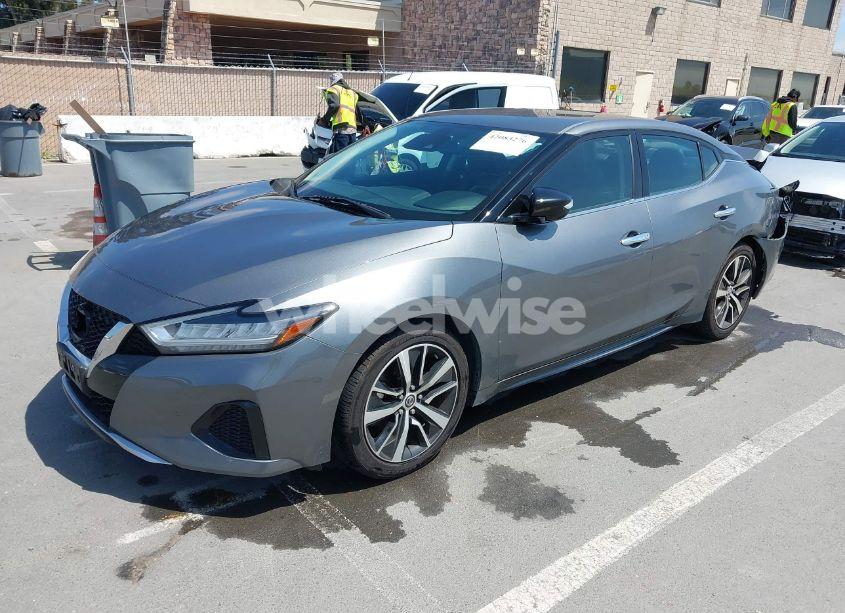 Photo 2 of 2021 Nissan Maxima SV XTRONIC CVT (VIN 1N4AA6CV3MC506783)