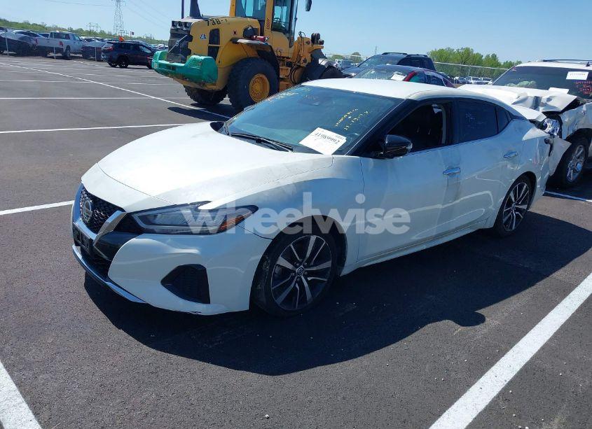 Photo 2 of 2022 Nissan Maxima SV XTRONIC CVT (VIN 1N4AA6CV5NC504051)