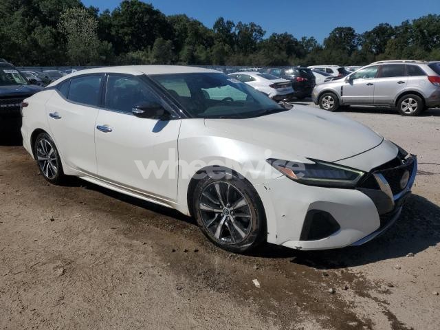 Photo 11 of 2023 NISSAN MAXIMA SV (VIN 1N4AA6CV6PC511299)