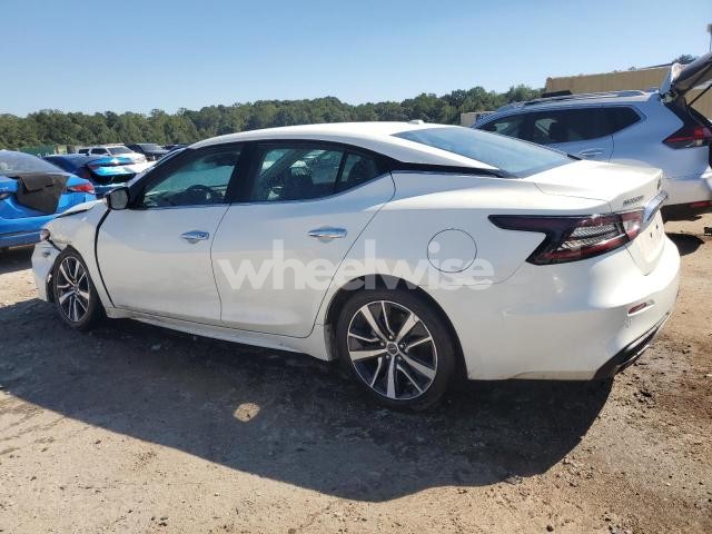 Photo 12 of 2023 NISSAN MAXIMA SV (VIN 1N4AA6CV6PC511299)