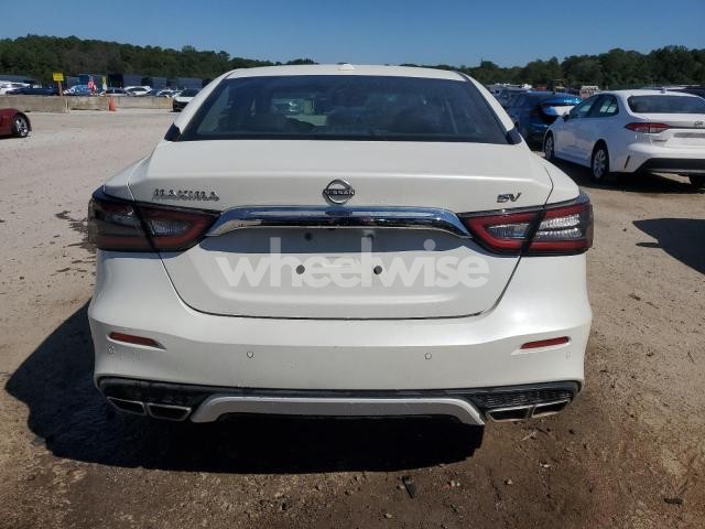 Photo 4 of 2023 NISSAN MAXIMA SV (VIN 1N4AA6CV6PC511299)