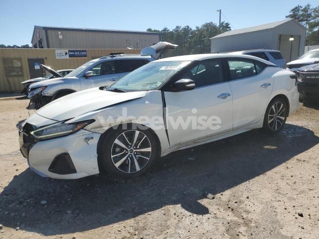 Photo 5 of 2023 NISSAN MAXIMA SV (VIN 1N4AA6CV6PC511299)