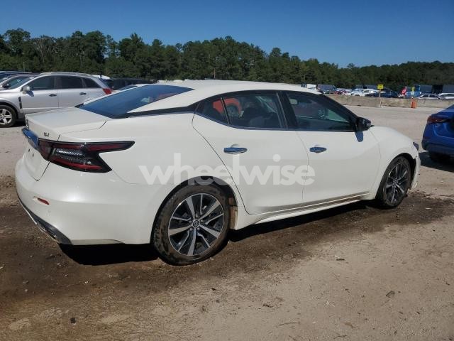 Photo 8 of 2023 NISSAN MAXIMA SV (VIN 1N4AA6CV6PC511299)