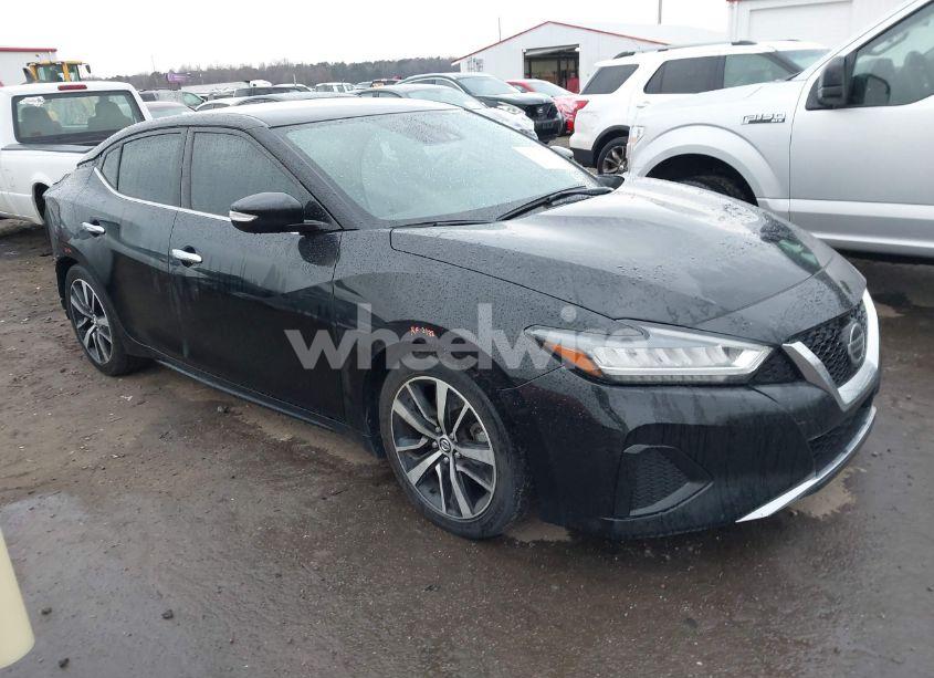 2021 Nissan Maxima SV XTRONIC CVT (VIN 1N4AA6CV7MC515048) main photo