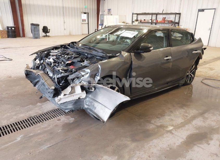 Photo 2 of 2021 Nissan Maxima SV XTRONIC CVT (VIN 1N4AA6CV9MC513527)
