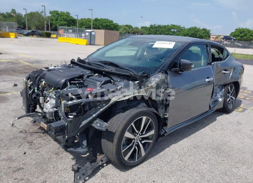 Photo 2 of 2021 Nissan Maxima SV XTRONIC CVT (VIN 1N4AA6CVXMC508952)