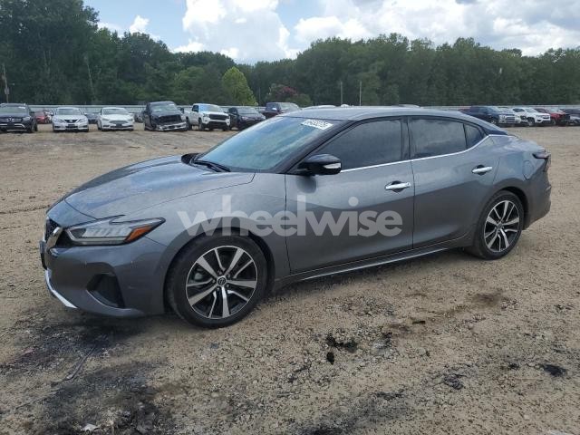 Photo 6 of 2023 NISSAN MAXIMA SV (VIN 1N4AA6CVXPC504310)