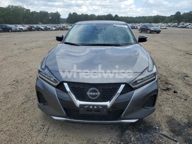 Photo 9 of 2023 NISSAN MAXIMA SV (VIN 1N4AA6CVXPC504310)