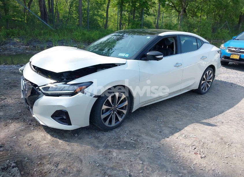 Photo 2 of 2023 Nissan Maxima PLATINUM XTRONIC CVT (VIN 1N4AA6FV5PC505862)
