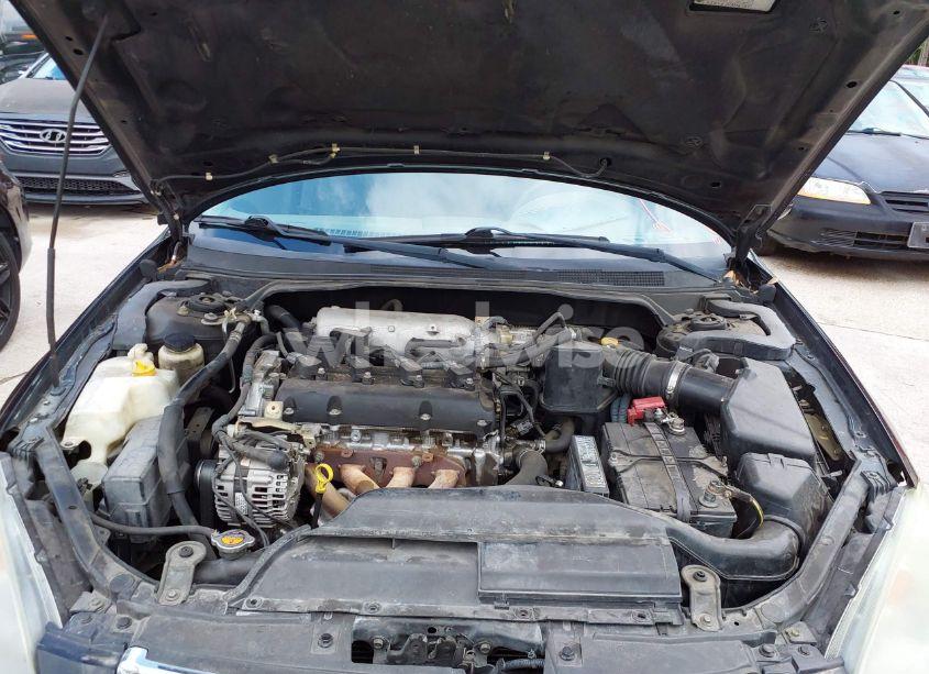 Photo 10 of 2002 Nissan Altima 2.5 S (VIN 1N4AL11D02C238229)