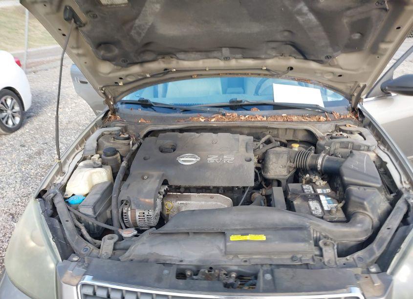 Photo 10 of 2005 Nissan Altima 2.5 S (VIN 1N4AL11D15N456768)