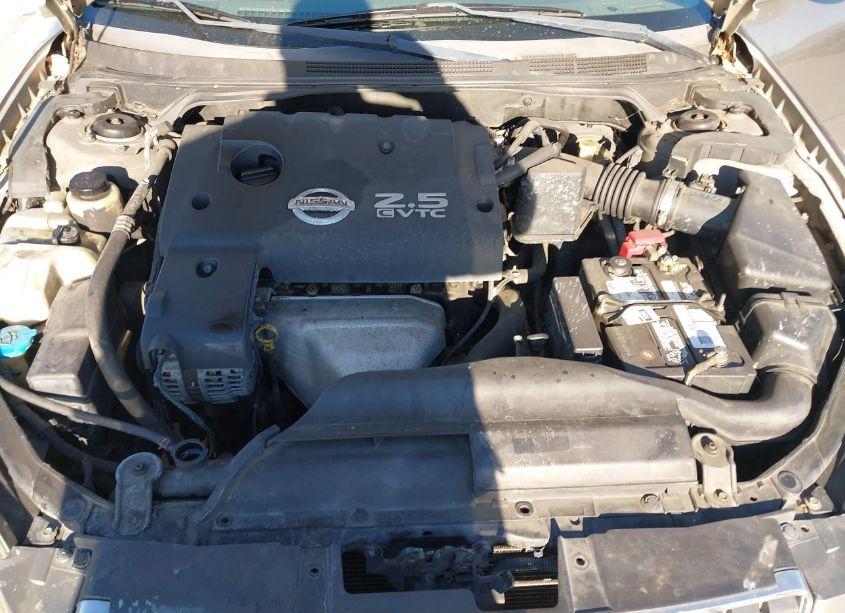 Photo 10 of 2006 Nissan Altima 2.5 S (VIN 1N4AL11D66N369126)