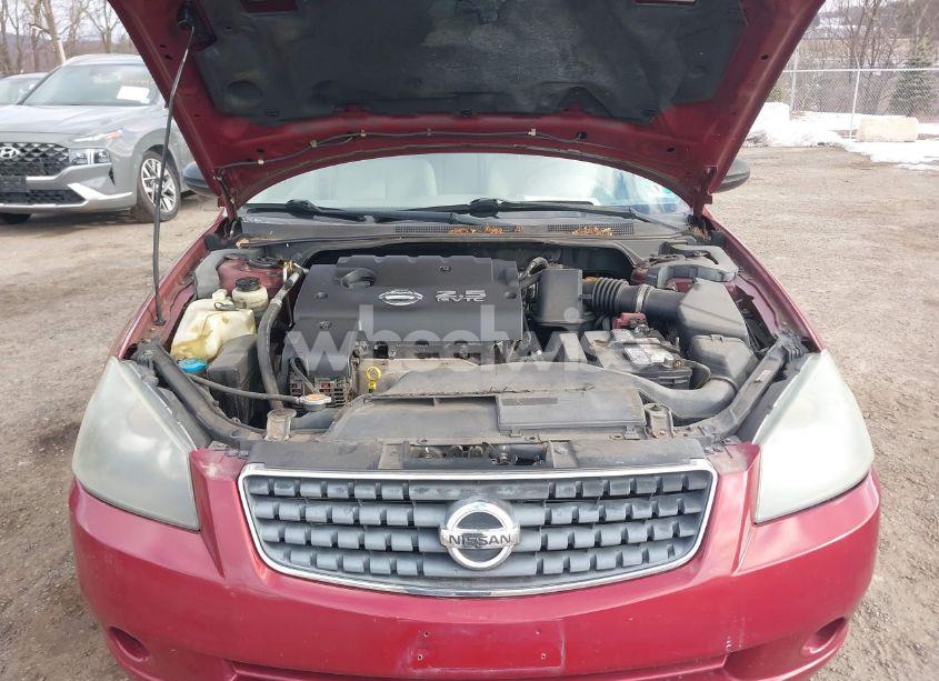 Photo 10 of 2005 Nissan Altima 2.5 S (VIN 1N4AL11D75N926527)
