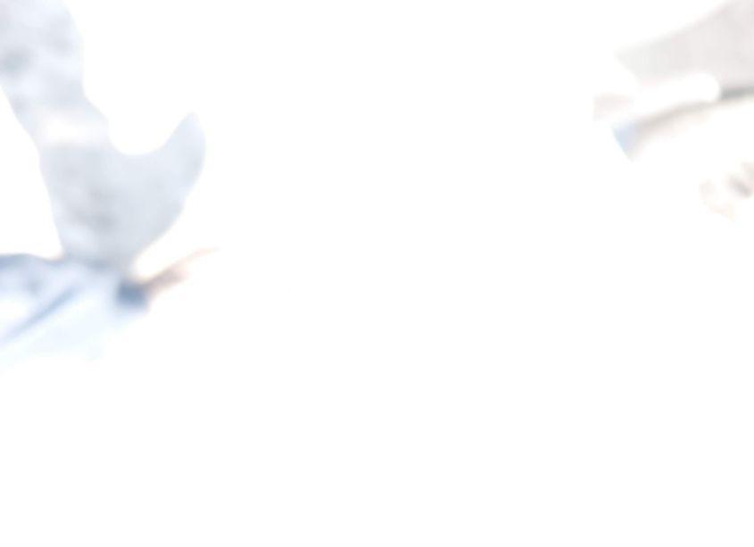 Photo 12 of 2006 Nissan Altima 2.5 S (VIN 1N4AL11D76C242171)