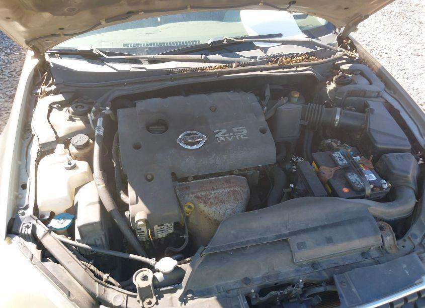 Photo 10 of 2006 Nissan Altima 2.5 S (VIN 1N4AL11D76N331260)