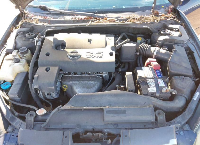 Photo 10 of 2006 Nissan Altima 2.5 S (VIN 1N4AL11D76N428121)