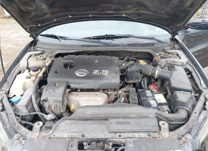 Photo 10 of 2006 Nissan Altima 2.5 S (VIN 1N4AL11D86C241689)