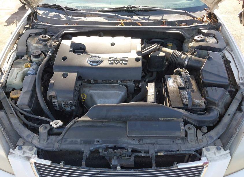 Photo 10 of 2002 Nissan Altima S/SL (VIN 1N4AL11EX2C118012)